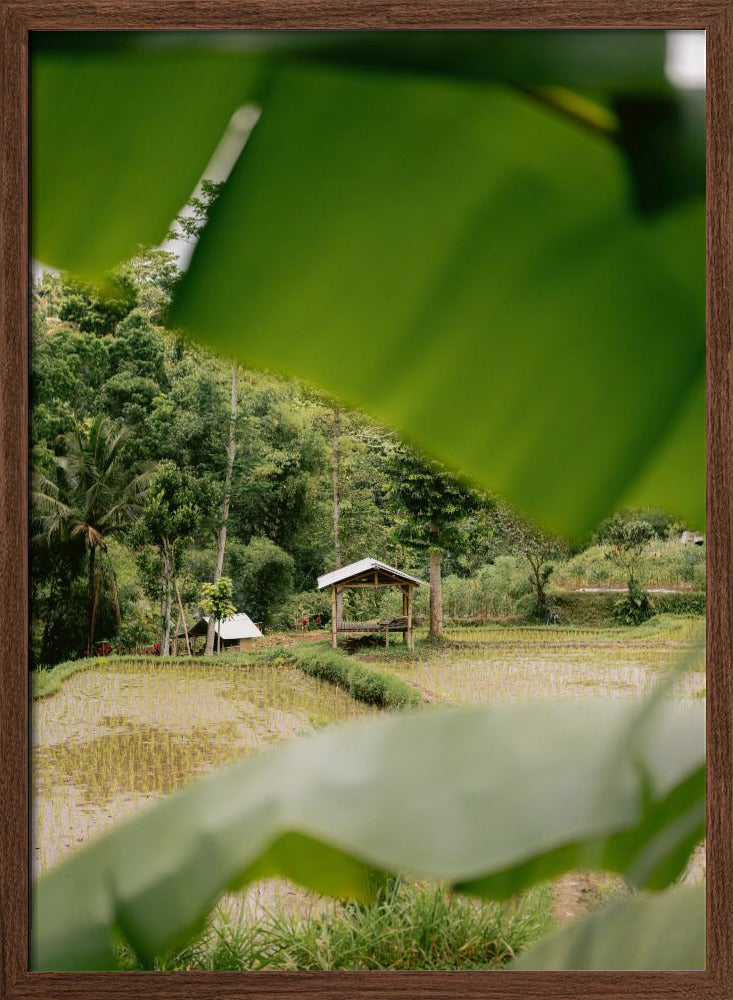 Tetebatu Lombok Poster