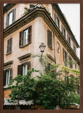 Botanical Trastevere Rome || Poster