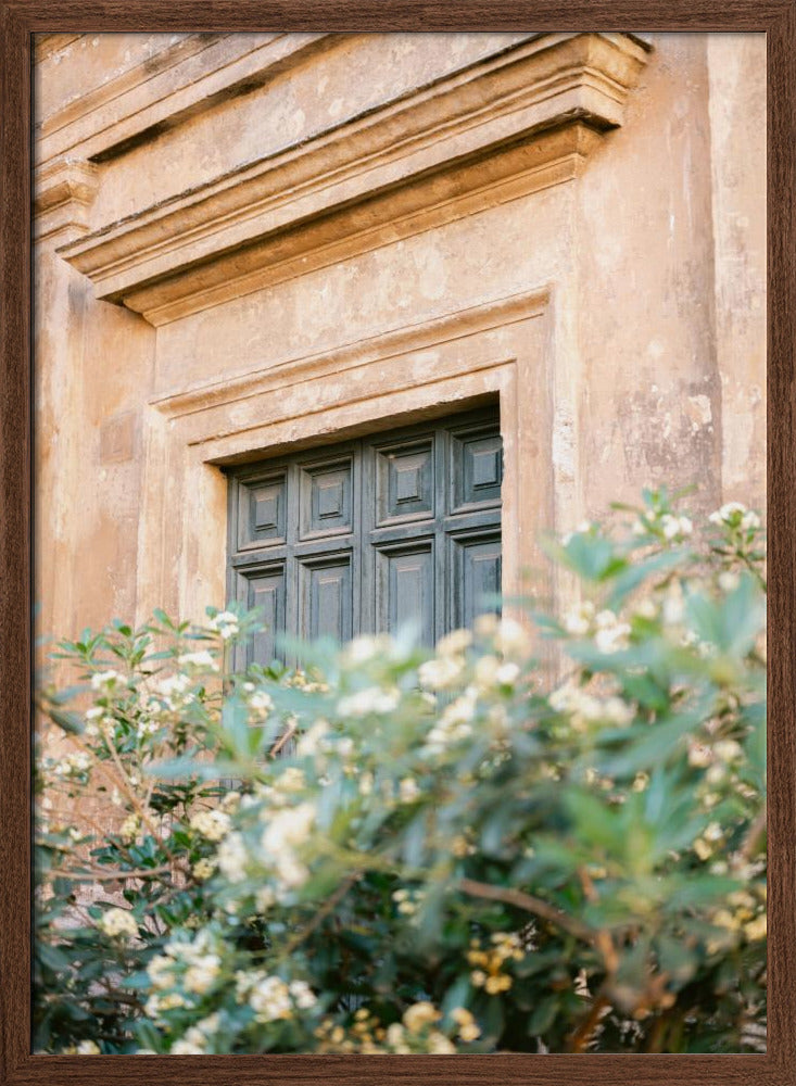 Botanical Trastevere Rome Poster