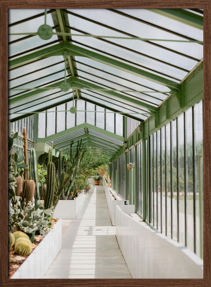 Botanical garden of Paris Poster