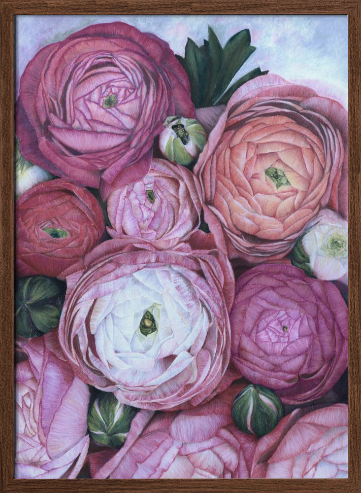 Arleth ranunculus bouquet in cold pink Poster