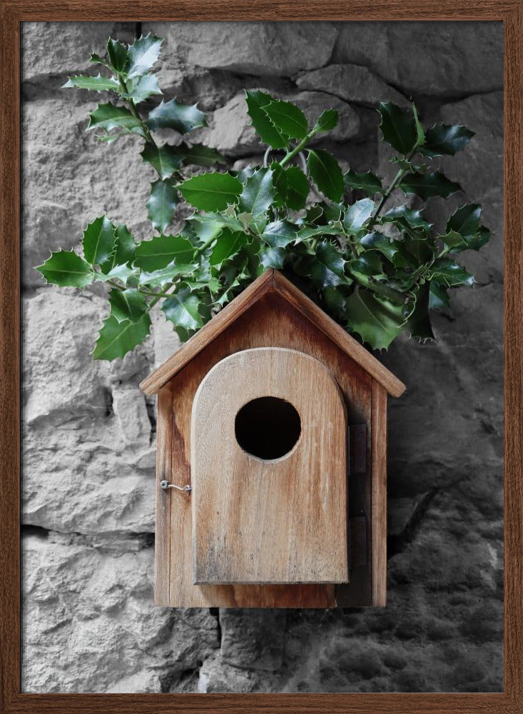 Holly birdhouse Poster