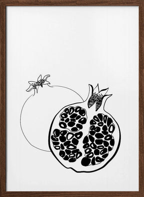 Line art pomegranates Poster