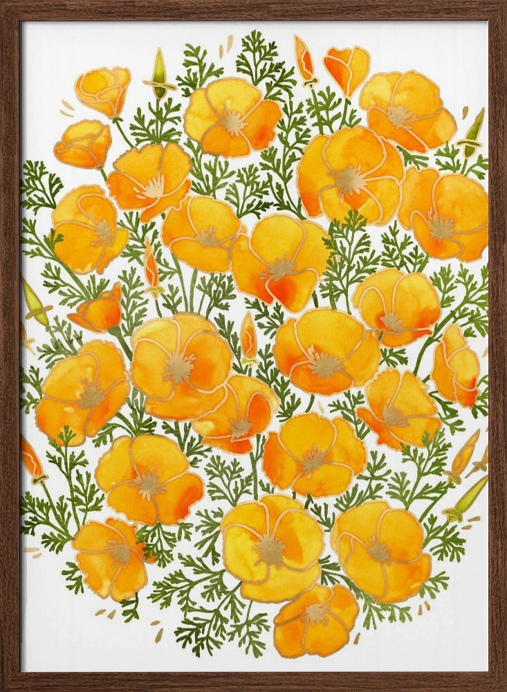 Gold accented California poppies Poster