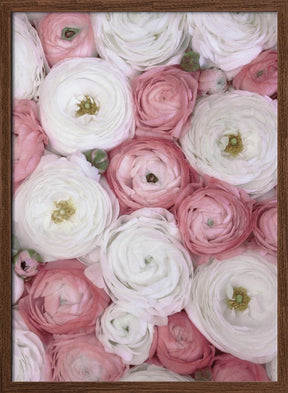 Scattered ranunculus in muted pink I Poster