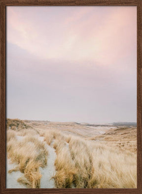 Ameland Dunes 1 Poster