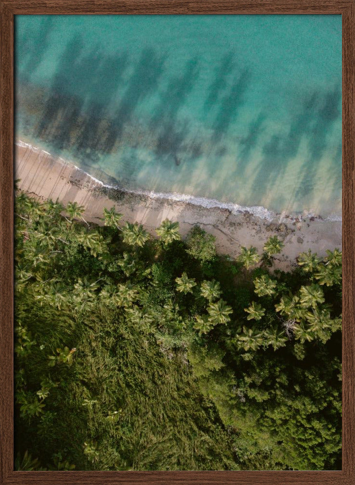 Palm Beach from Above Poster