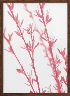 Pink dainty branch Poster