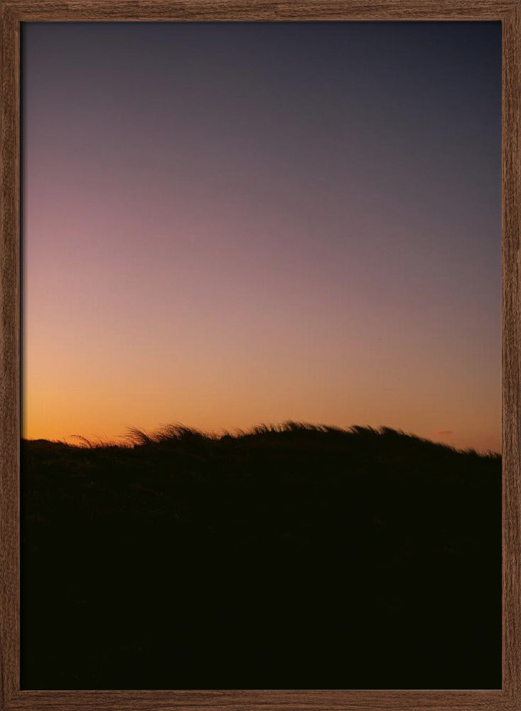 Dune Grass Sunset Poster