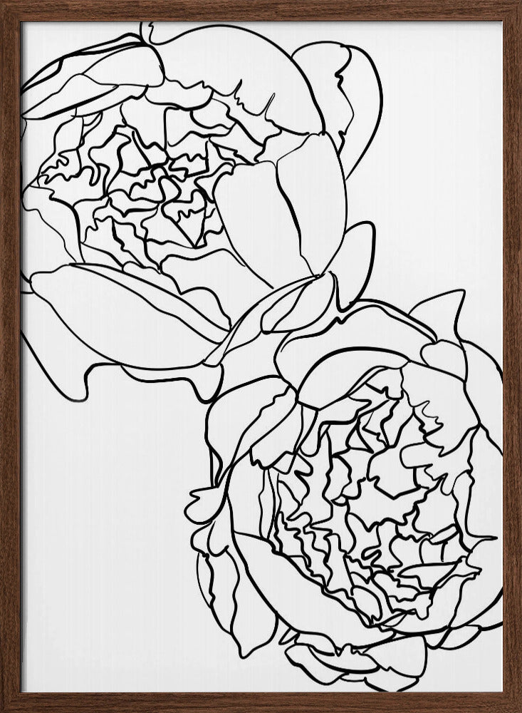 Sally's peonies in black and white Poster