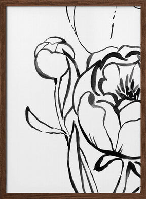 Anuman peony line art Poster