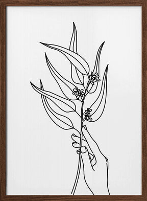 Seeded eucalyptus line art Poster