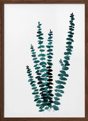 Teal watercolor eucalyptus I Poster