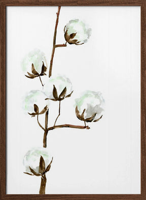 Watercolor cotton branch I Poster