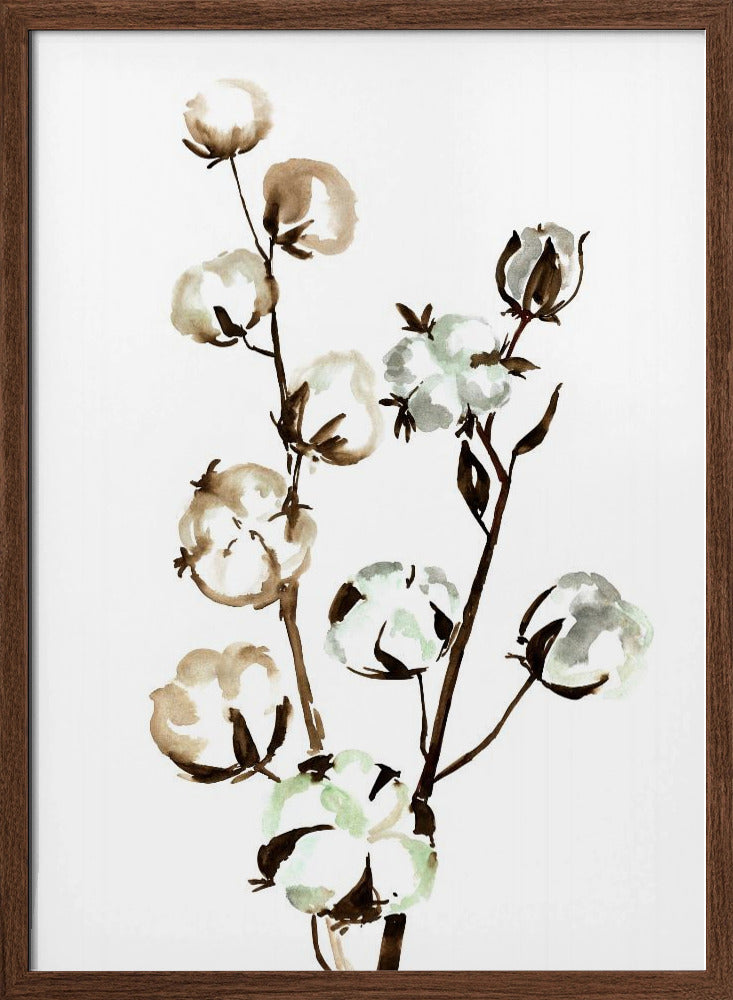 Watercolor cotton branch II Poster