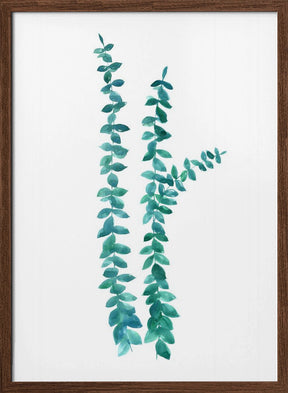 Watercolor eucalyptus branches in teal Poster