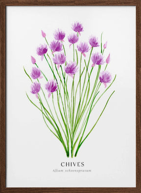 Chives I Poster