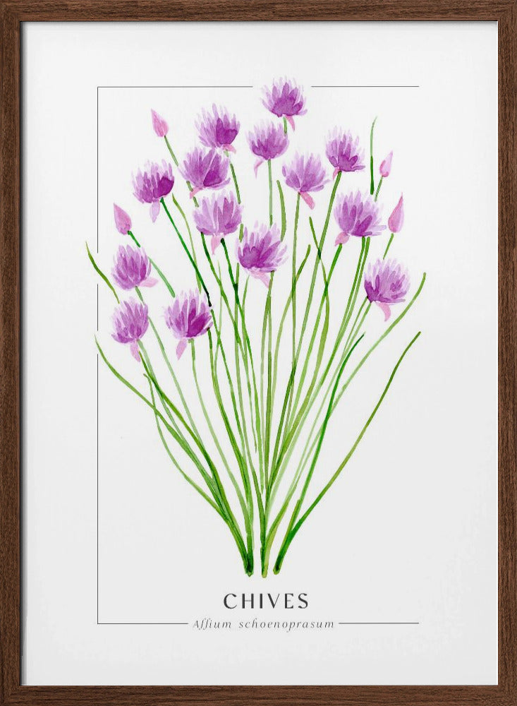 Chives II Poster