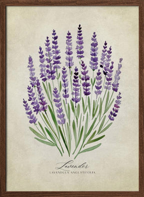 Lavender vintage Poster