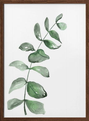 Watercolor greenery branch Poster