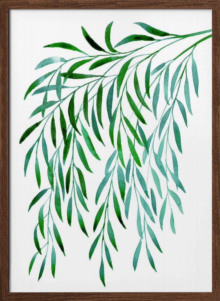 Cascading watercolor eucalyptus Poster