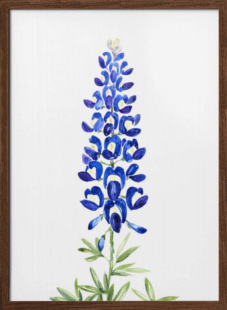 Watercolor Texas bluebonnet Poster