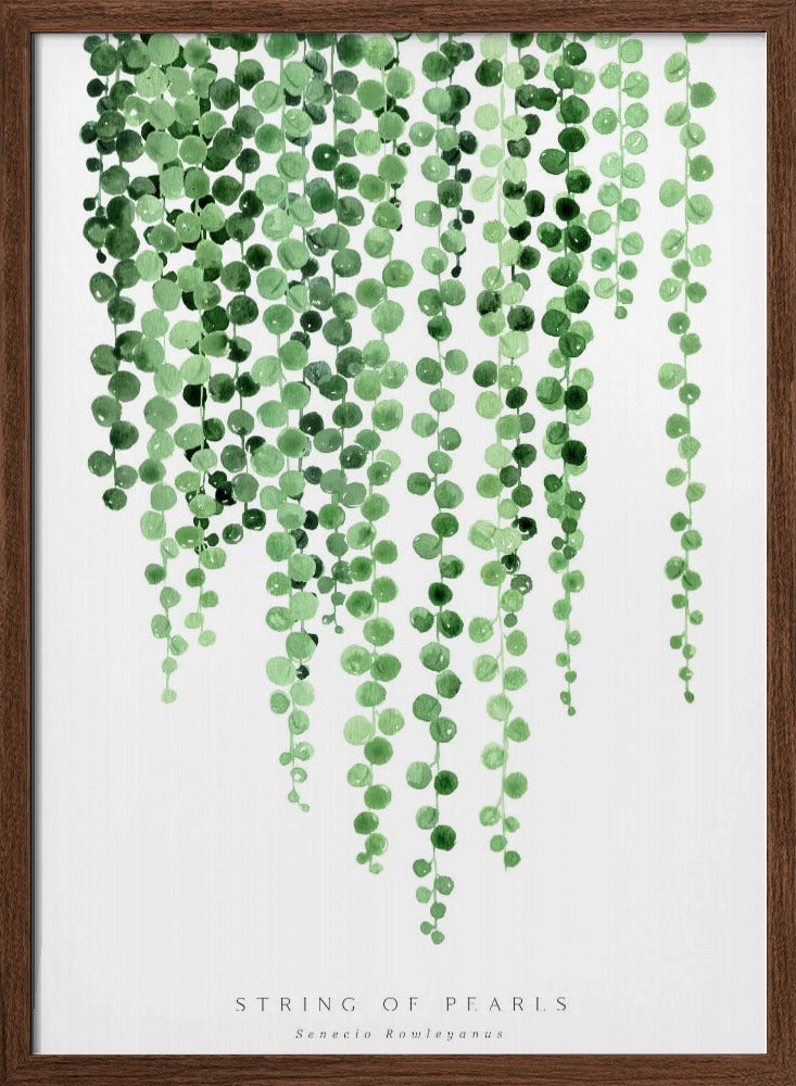 Watercolor string of pearls Poster