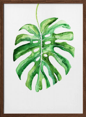 Monstera Leaf Poster