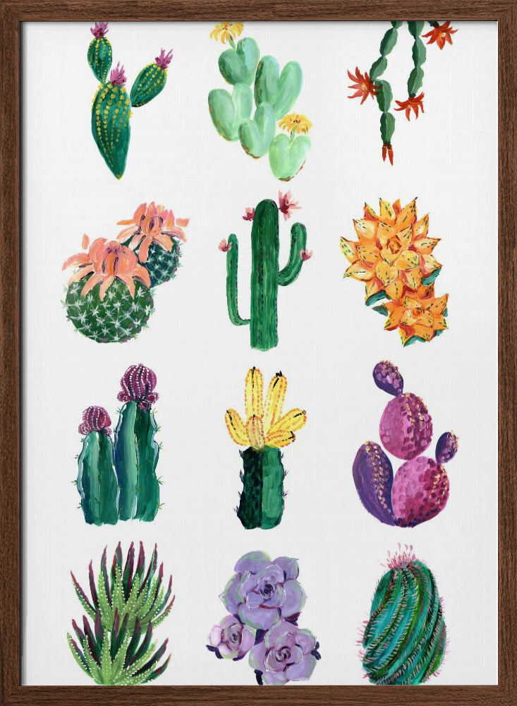 Collection of cacti Poster