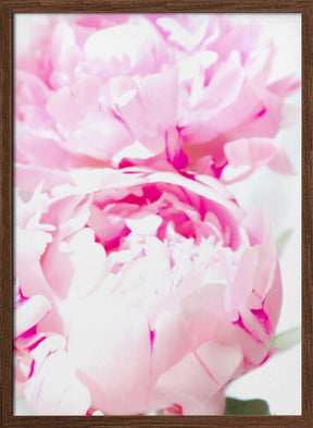 Pink peony X Poster