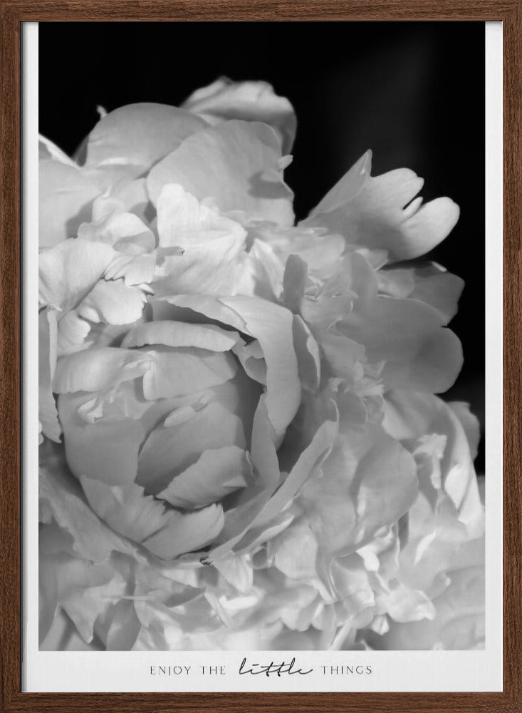 Enjoy the little things peony BW Poster