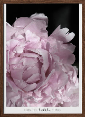 Enjoy the little things peony Poster