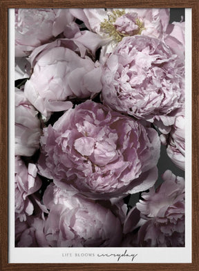 Life blooms everyday peonies Poster