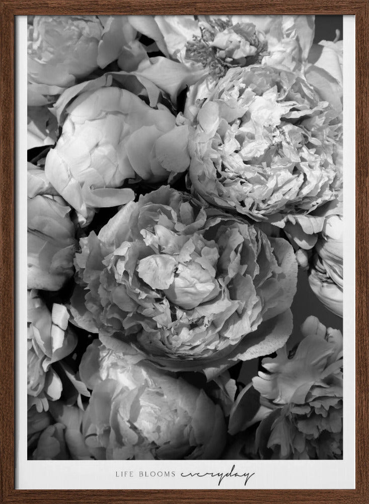 Life blooms everyday peonies bw Poster