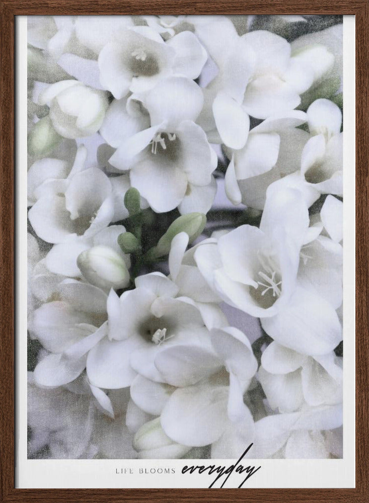 Distressed freesias II Poster