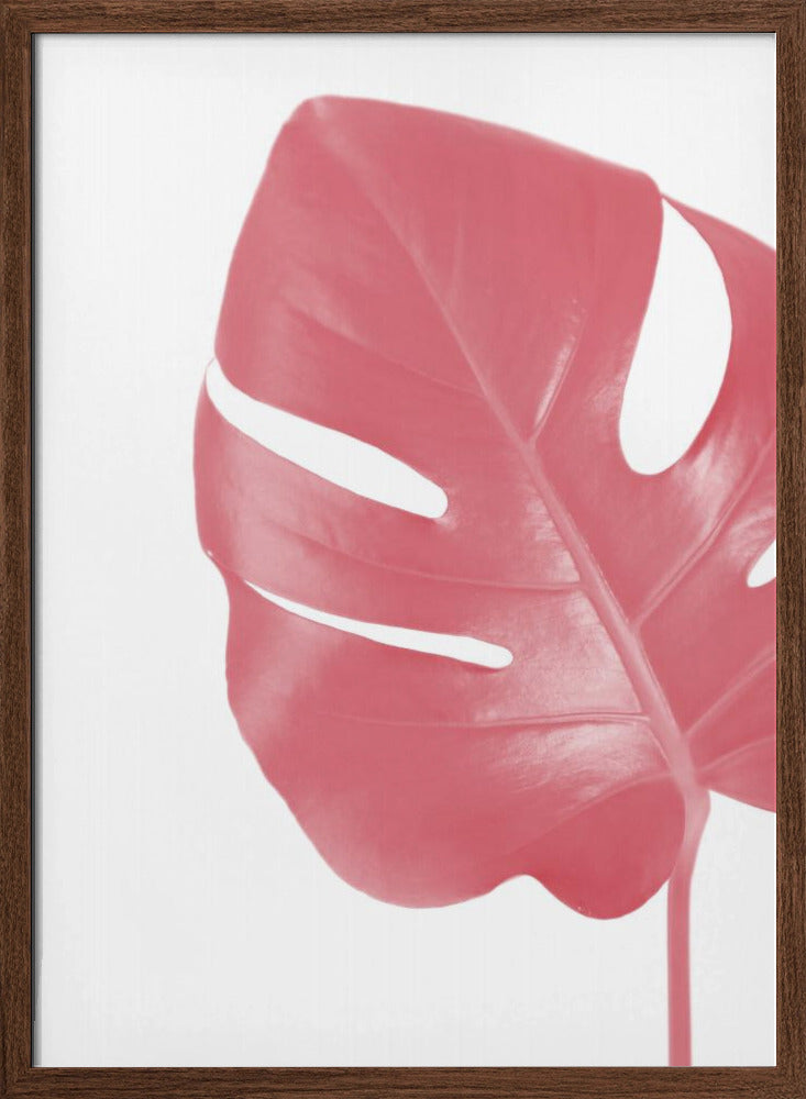 Pink monstera leaf Poster