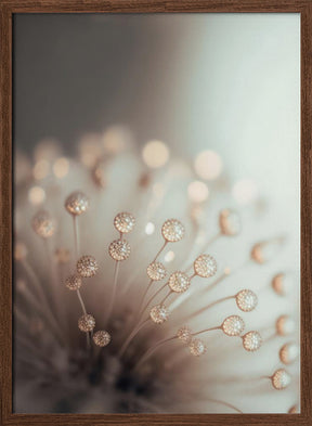 Glassy Flower Poster