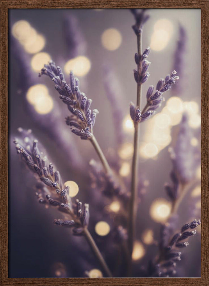 Lavender Detail Poster