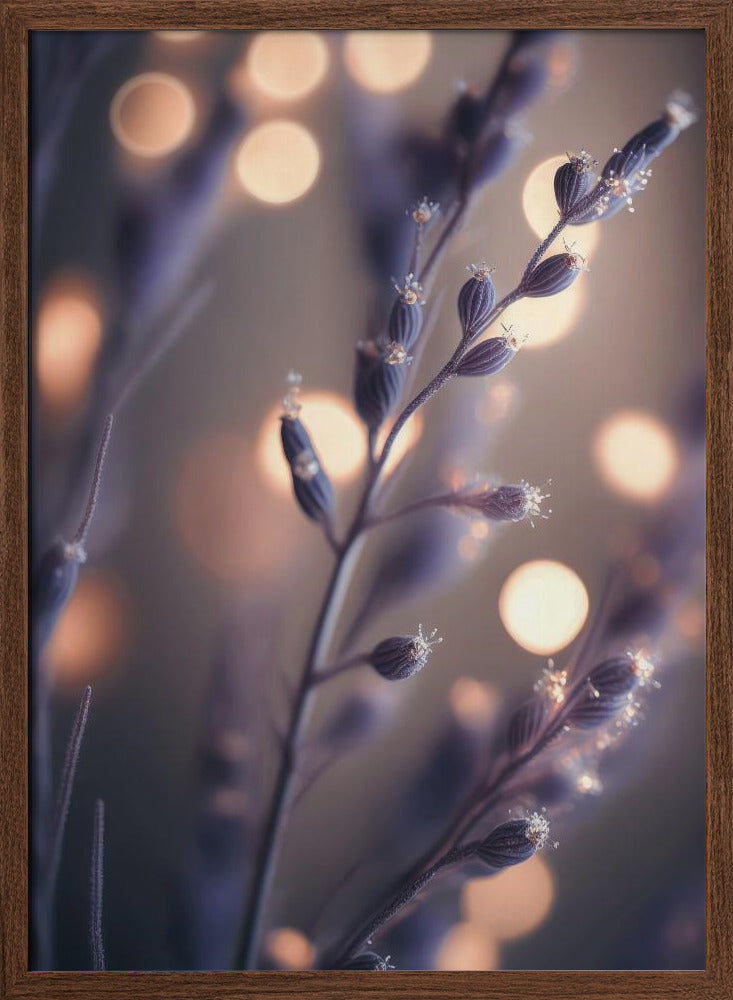 Lavender Macro Poster