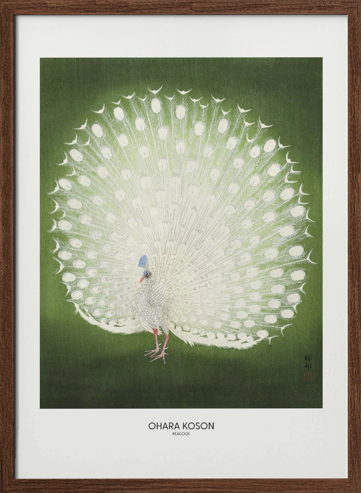 Peacock - Wide Poster