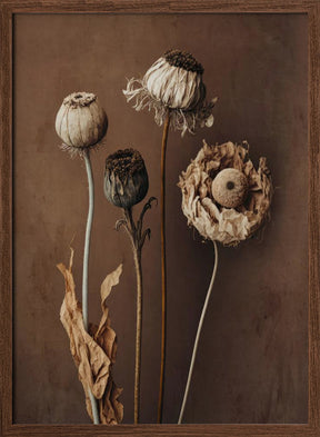 Three Dry Flowers Poster