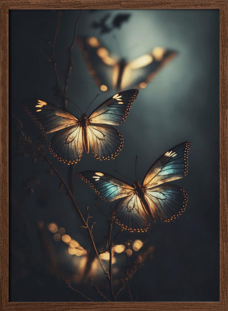 Glowing Butterflies Poster