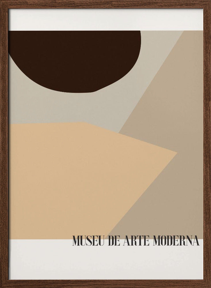 Museu De Arte Moderna 01 Poster