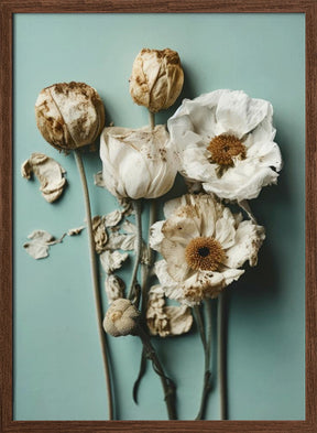 Dry Flowers on Turquoise Background Poster