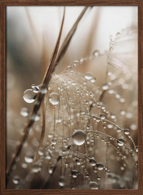 Rain Drops Poster