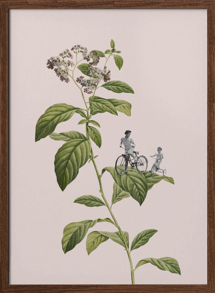 Botanical cycling Poster