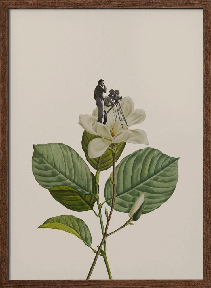 Botanical vintage cameraman Poster