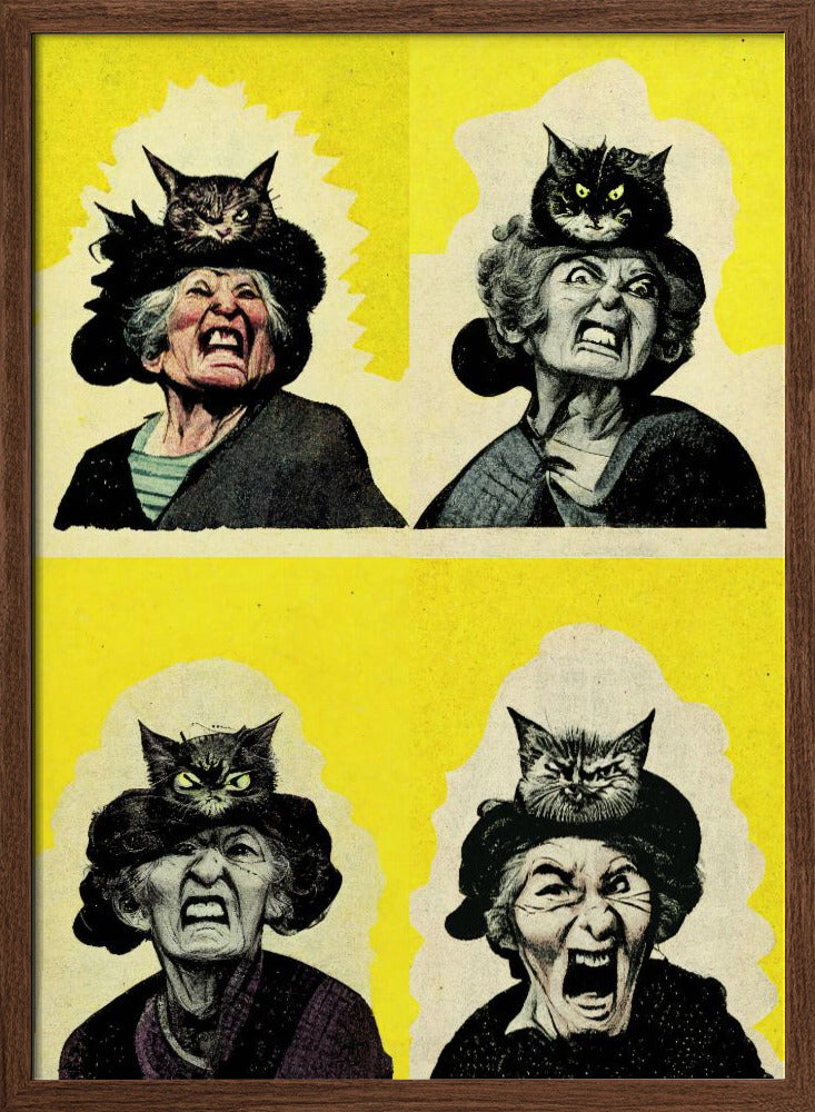 Angry Cat Lady Poster