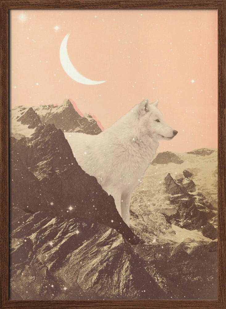 Giant White Wolf In Mountains Poster