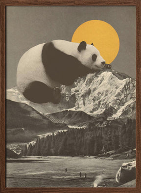 Giant Panda Nap Poster